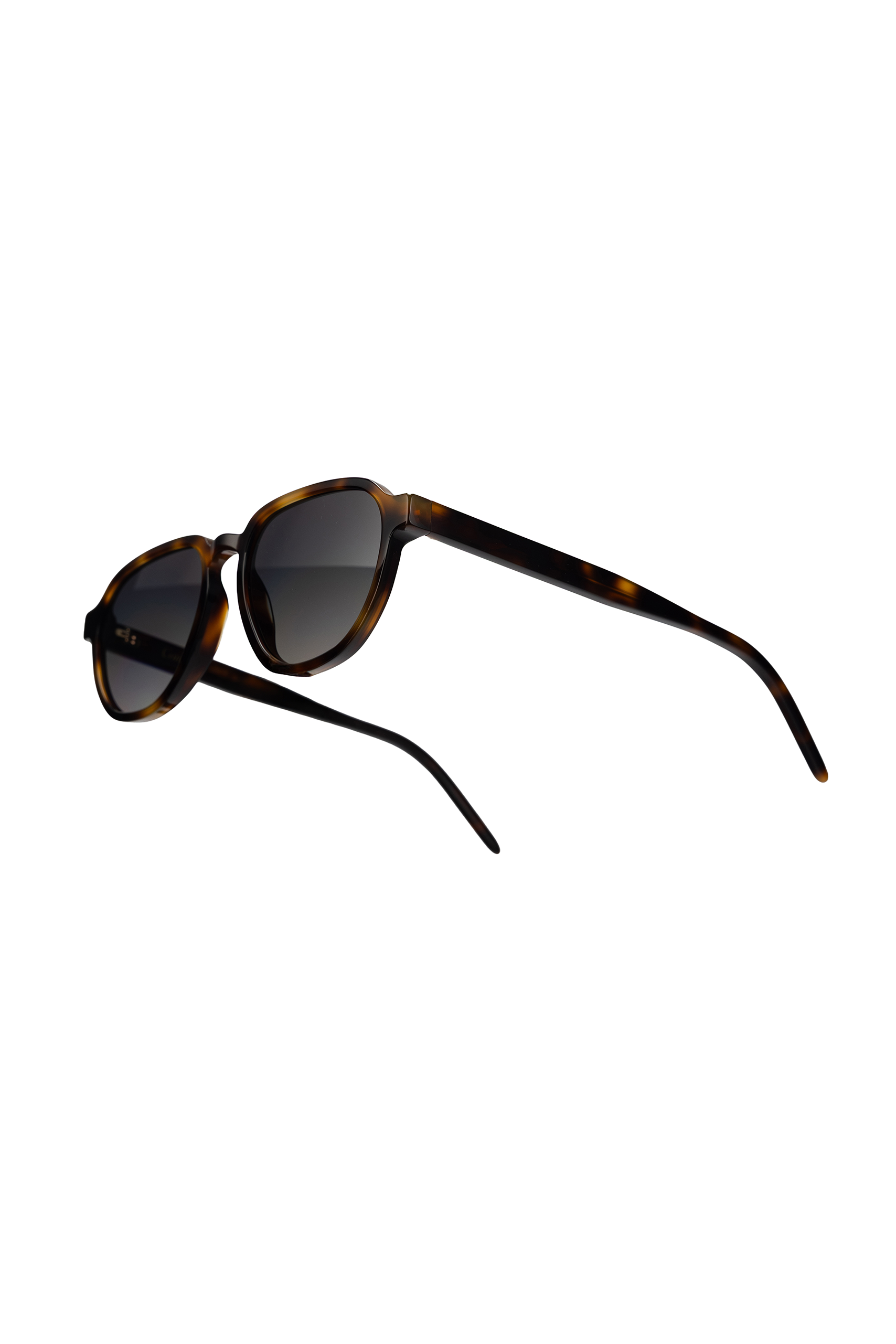Brown Tortoise Flux Sunglasses