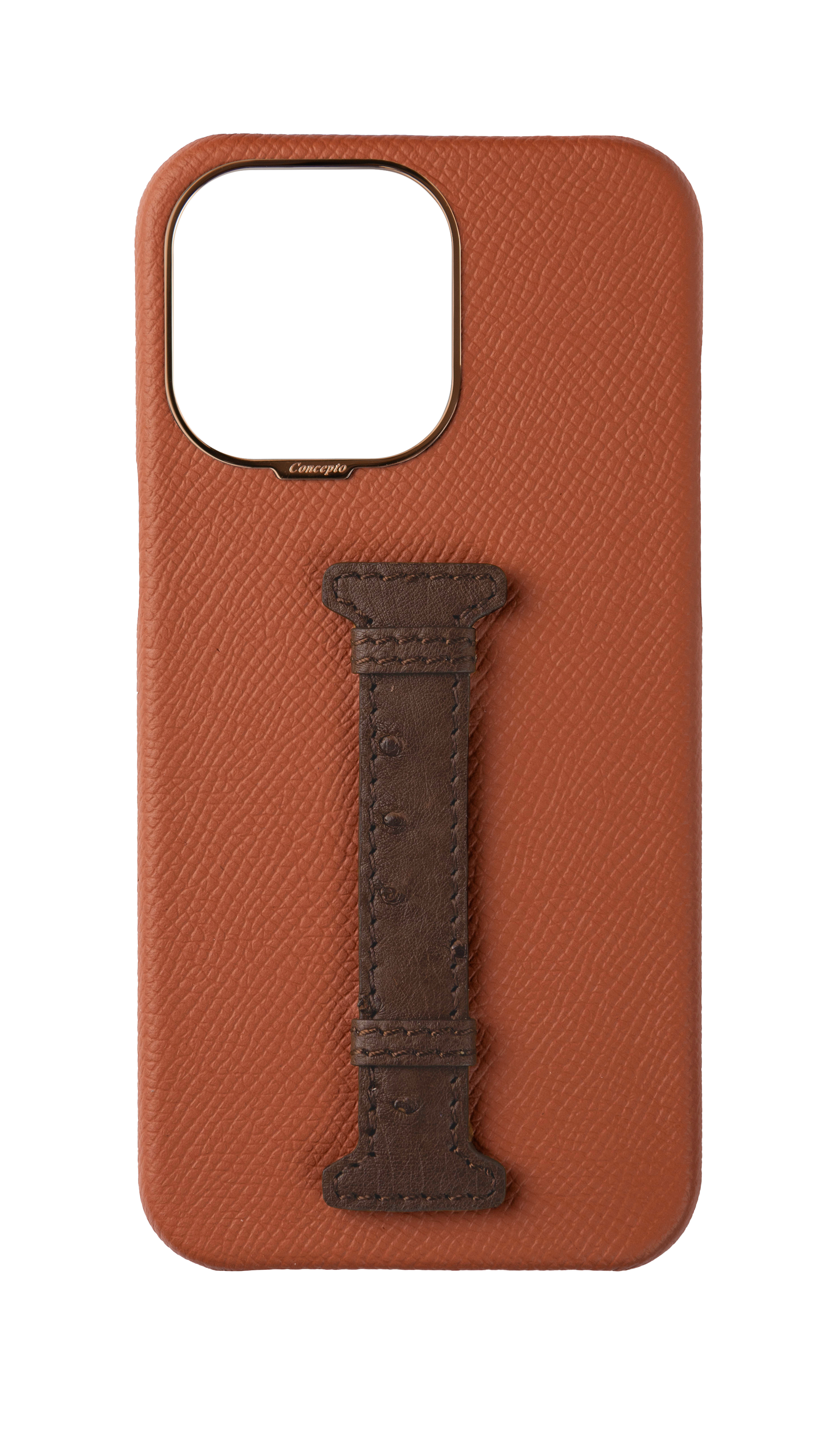 Tan / Brown Exotic Ostrich Middle Strap Case