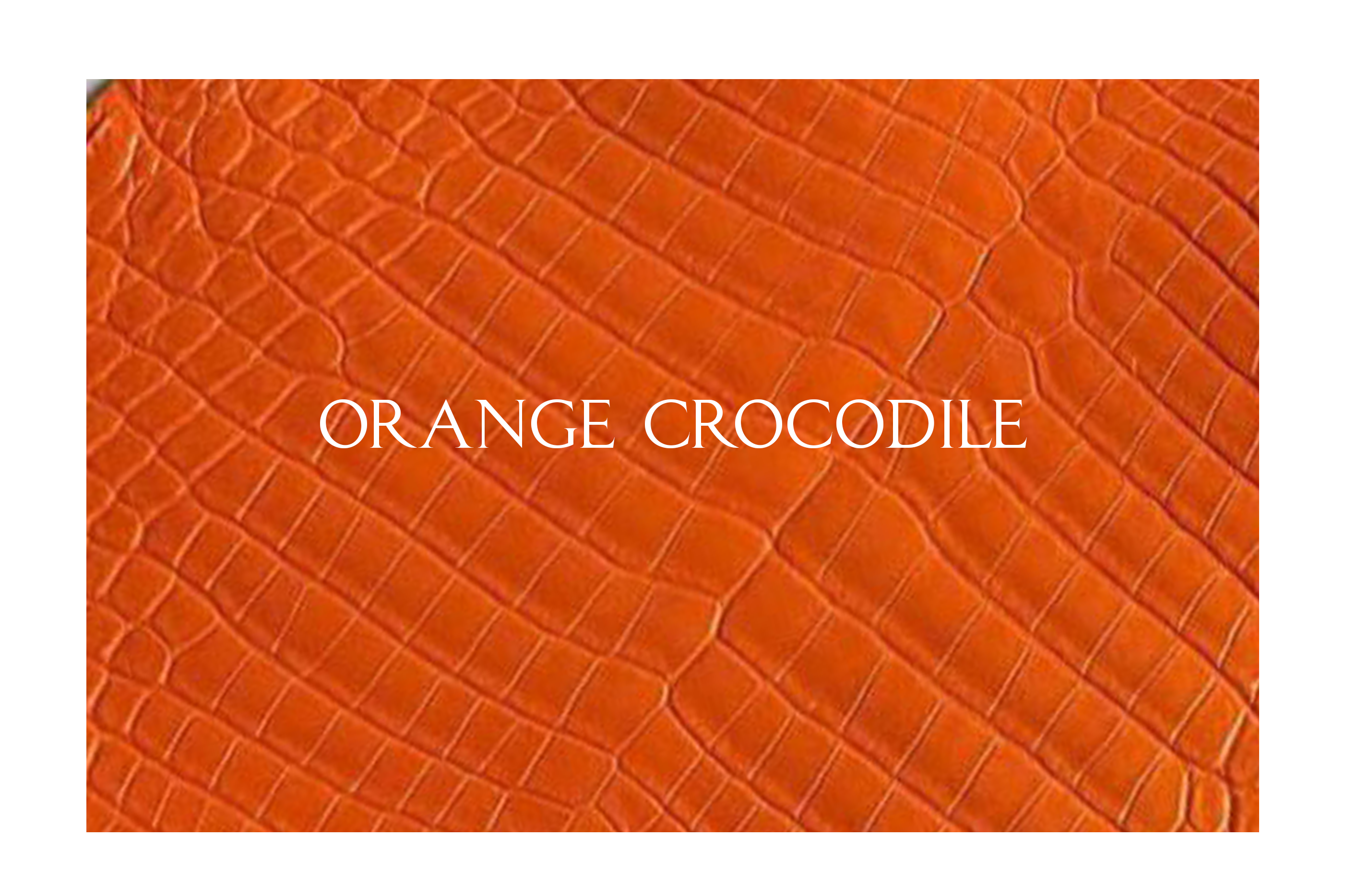 Bespoke Belt Bifold Wallet