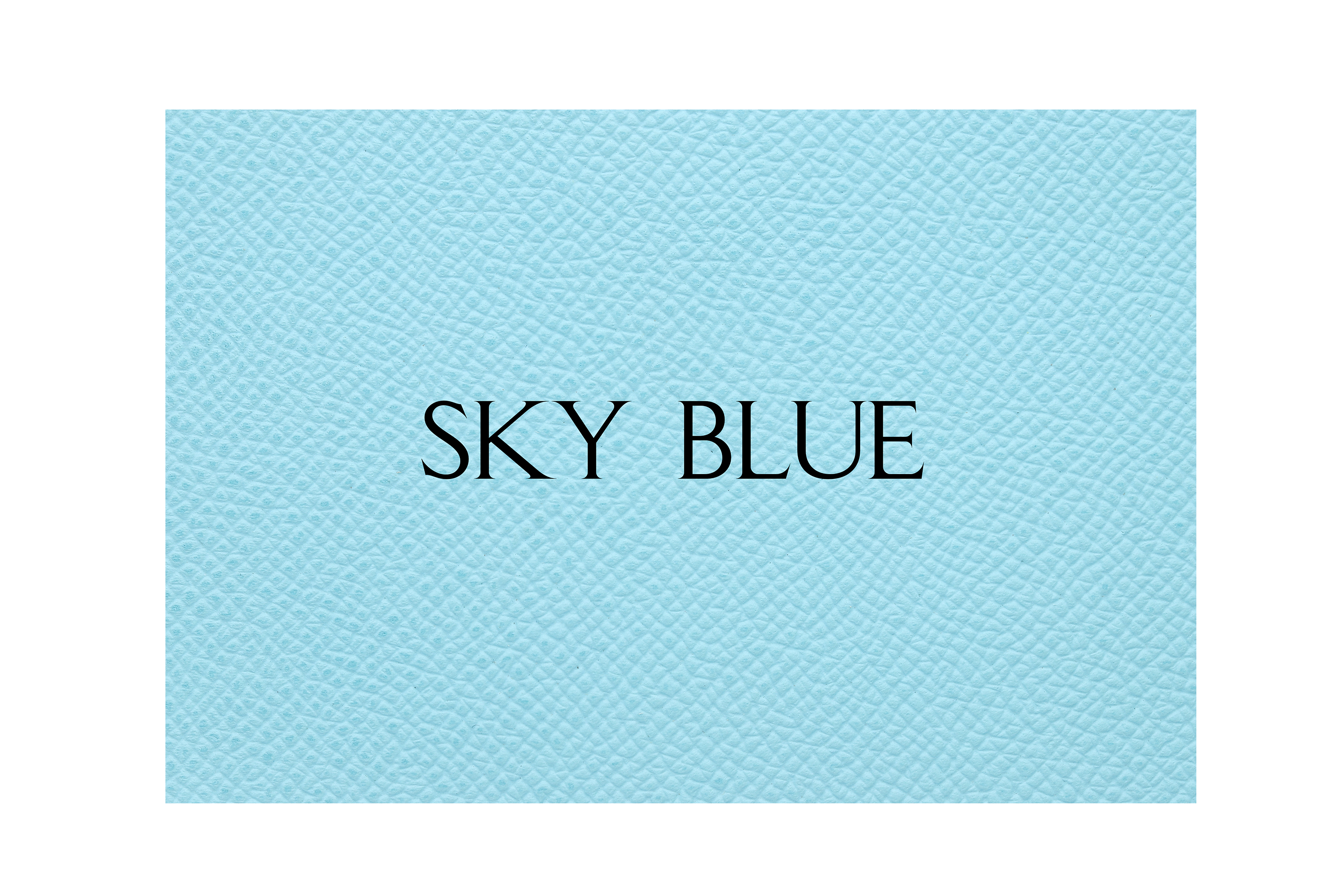 Old Mercedes Key Sleeve