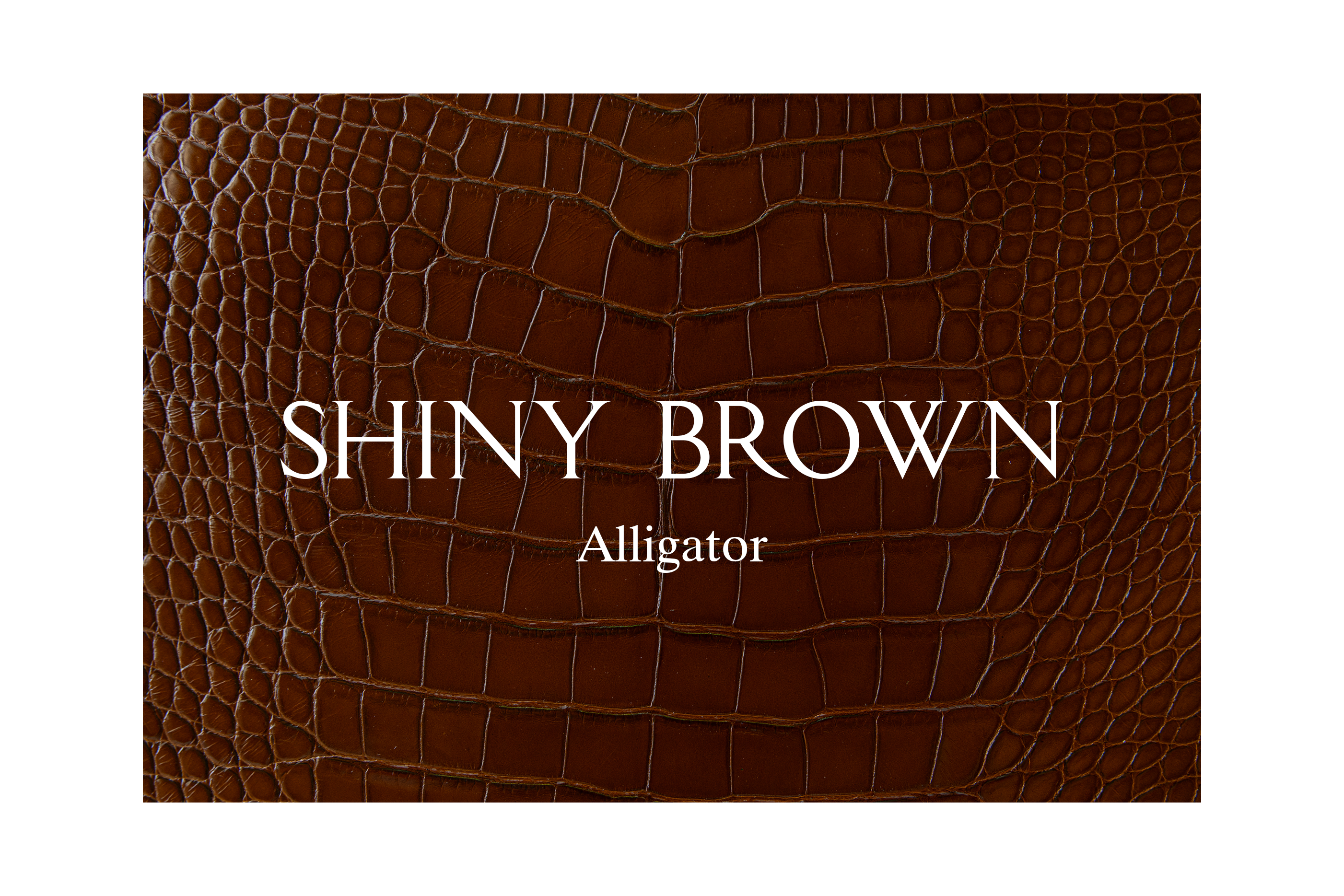 Bespoke Whoop 5.0 & MG Strap - Exotic