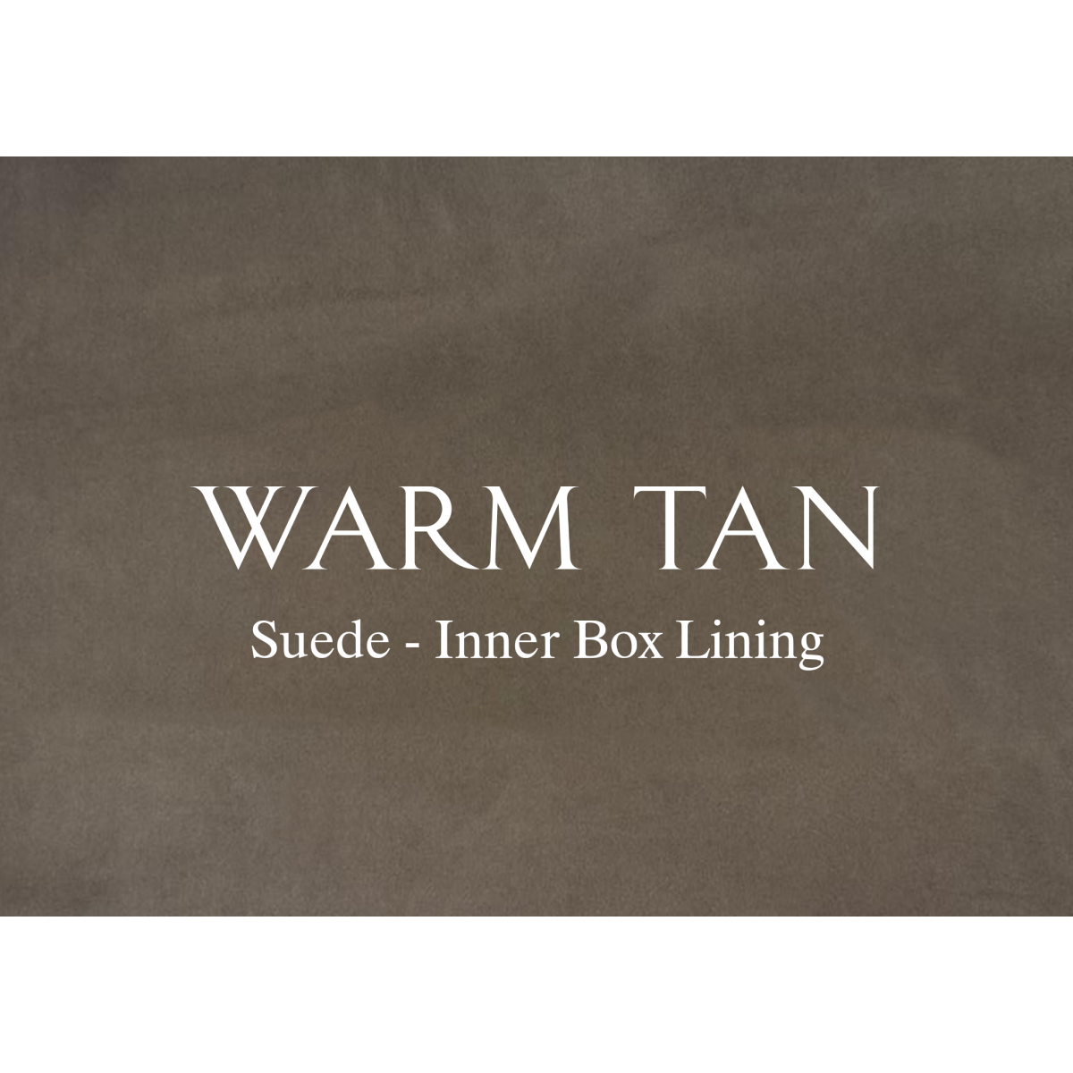 Single Watch Trunk