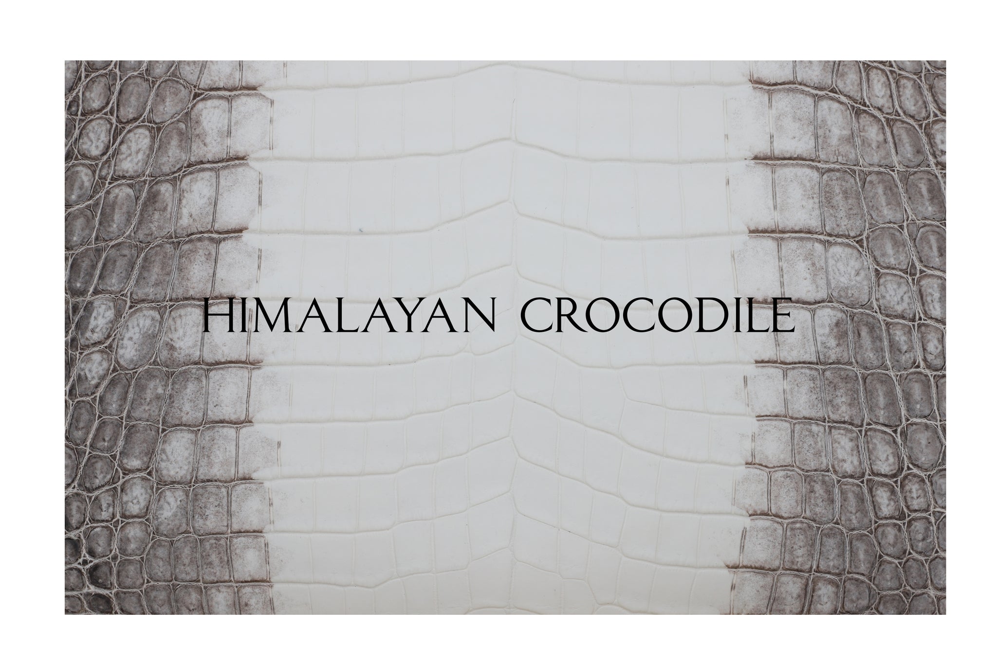 Old Nissan Key Sleeve - 5 Buttons