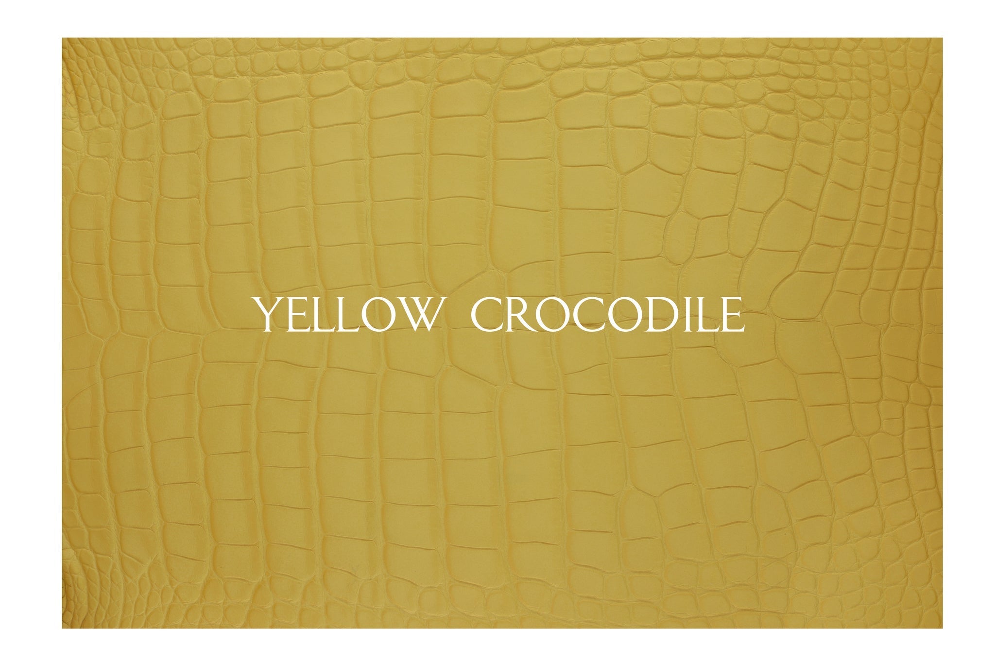 Old Audi Key Sleeve - Sliding Key