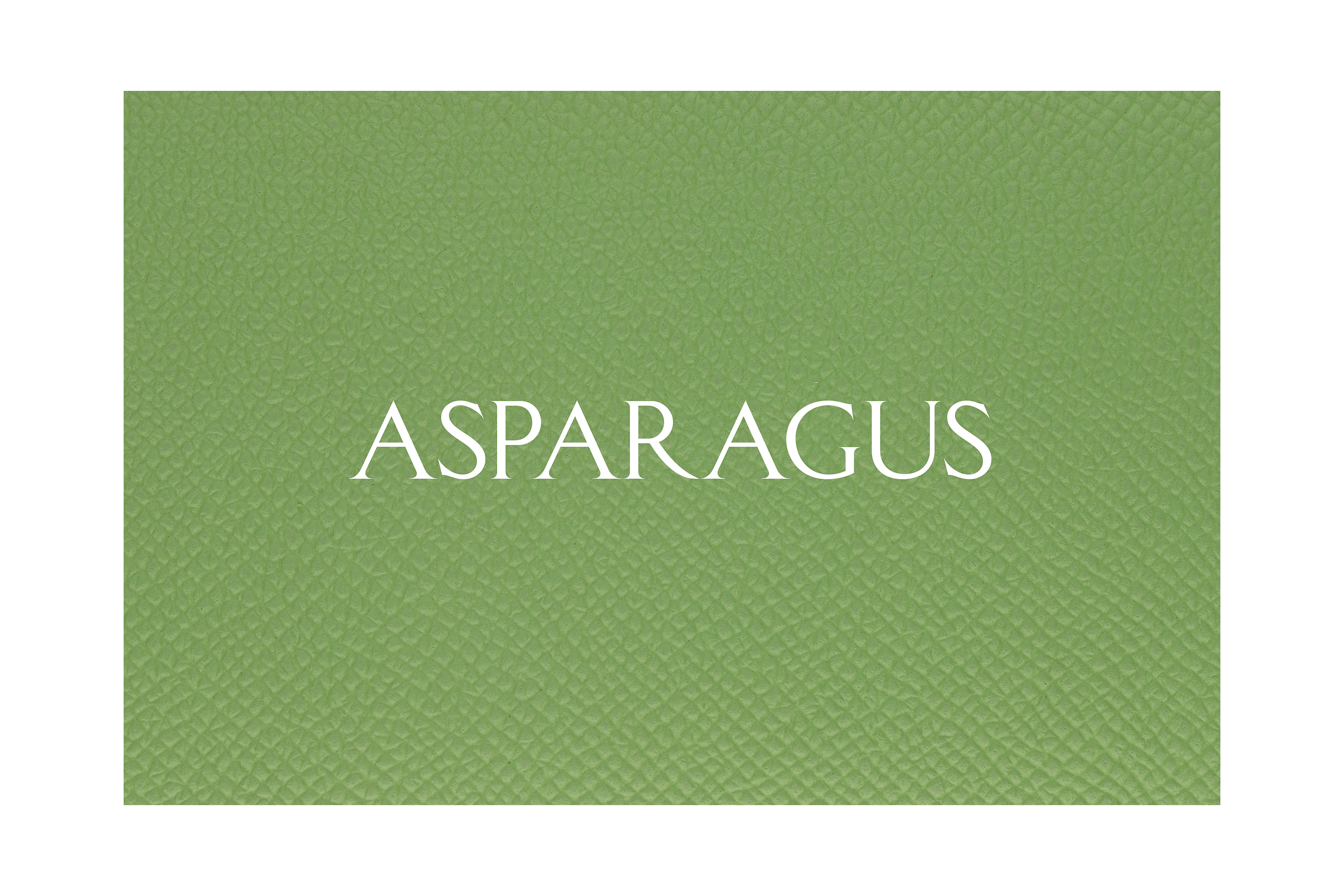 Old Mercedes Key Sleeve