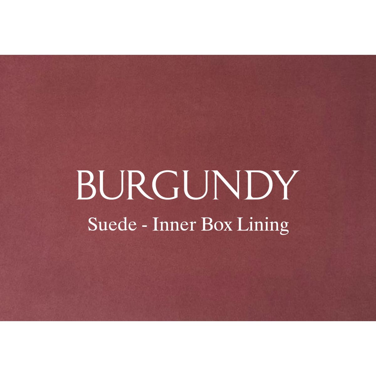 Single Watch Trunk