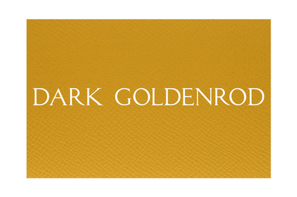 New Maserati Key Sleeve