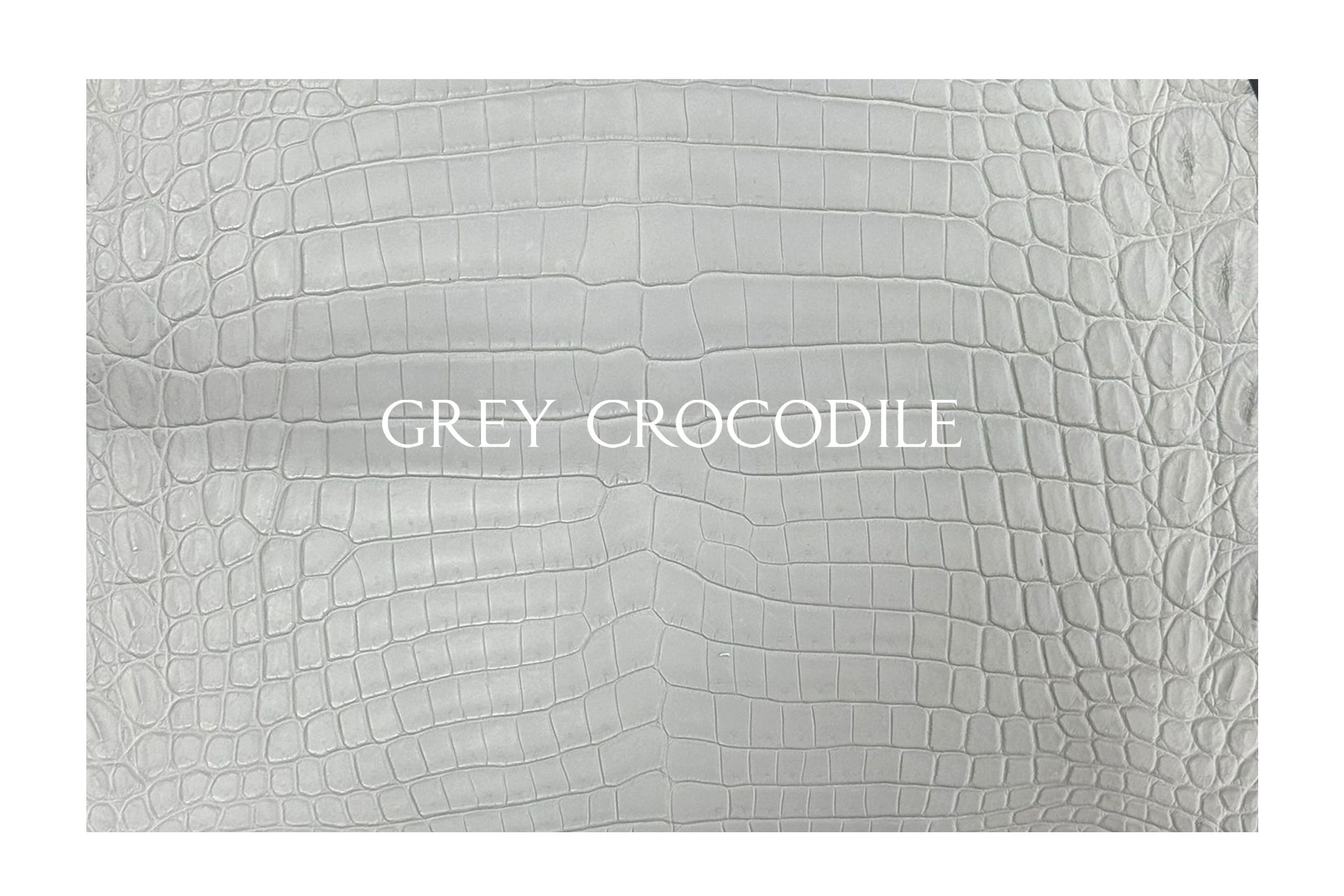 New Land Cruiser Key Sleeve - GR