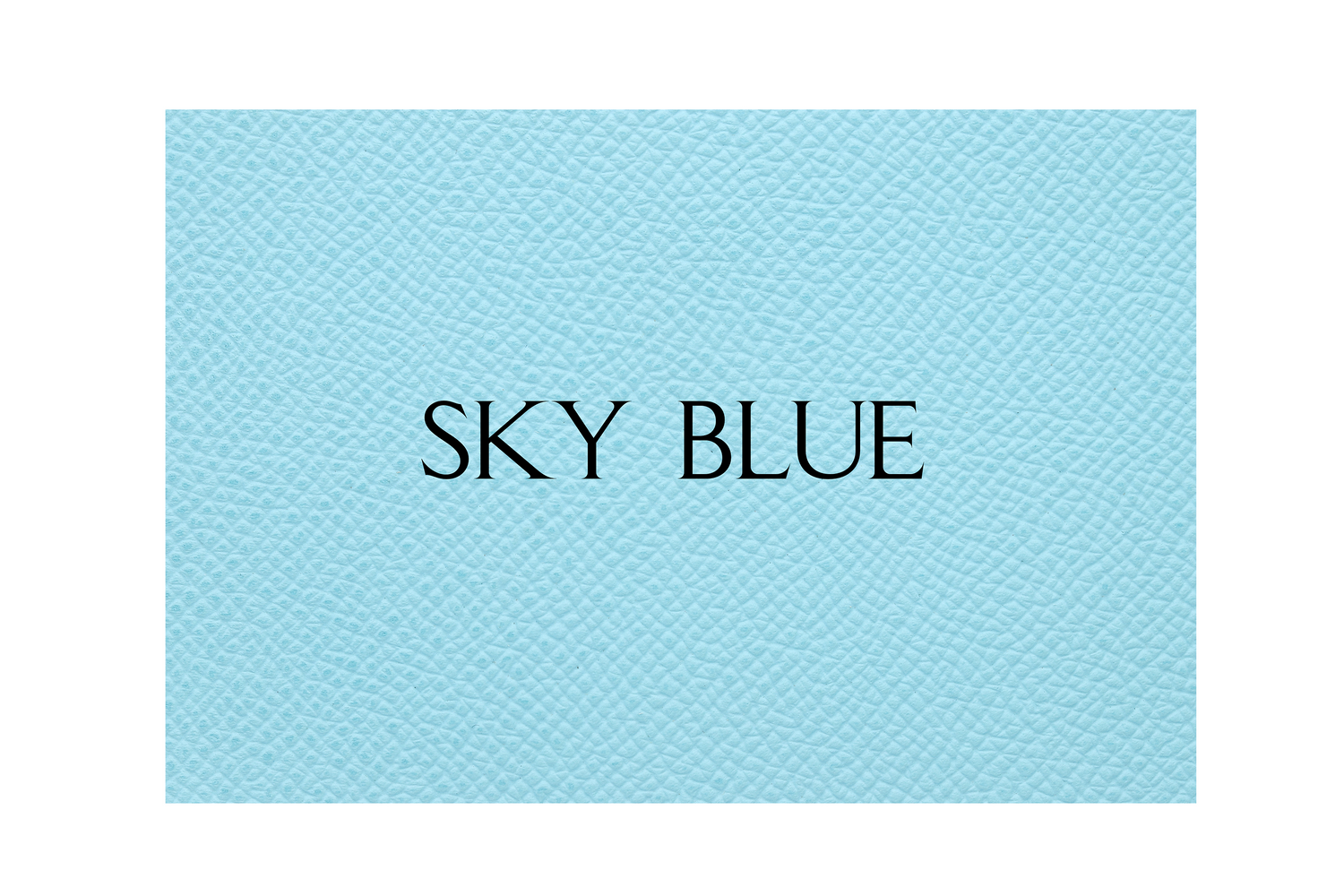 New Land Cruiser Key Sleeve - GX