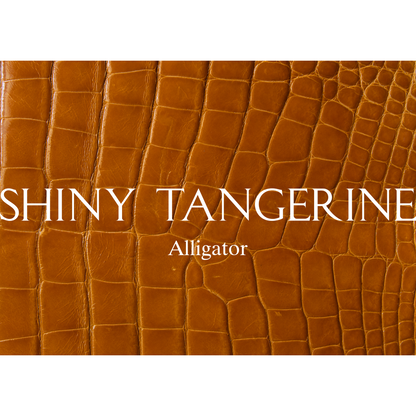 Single Watch Trunk