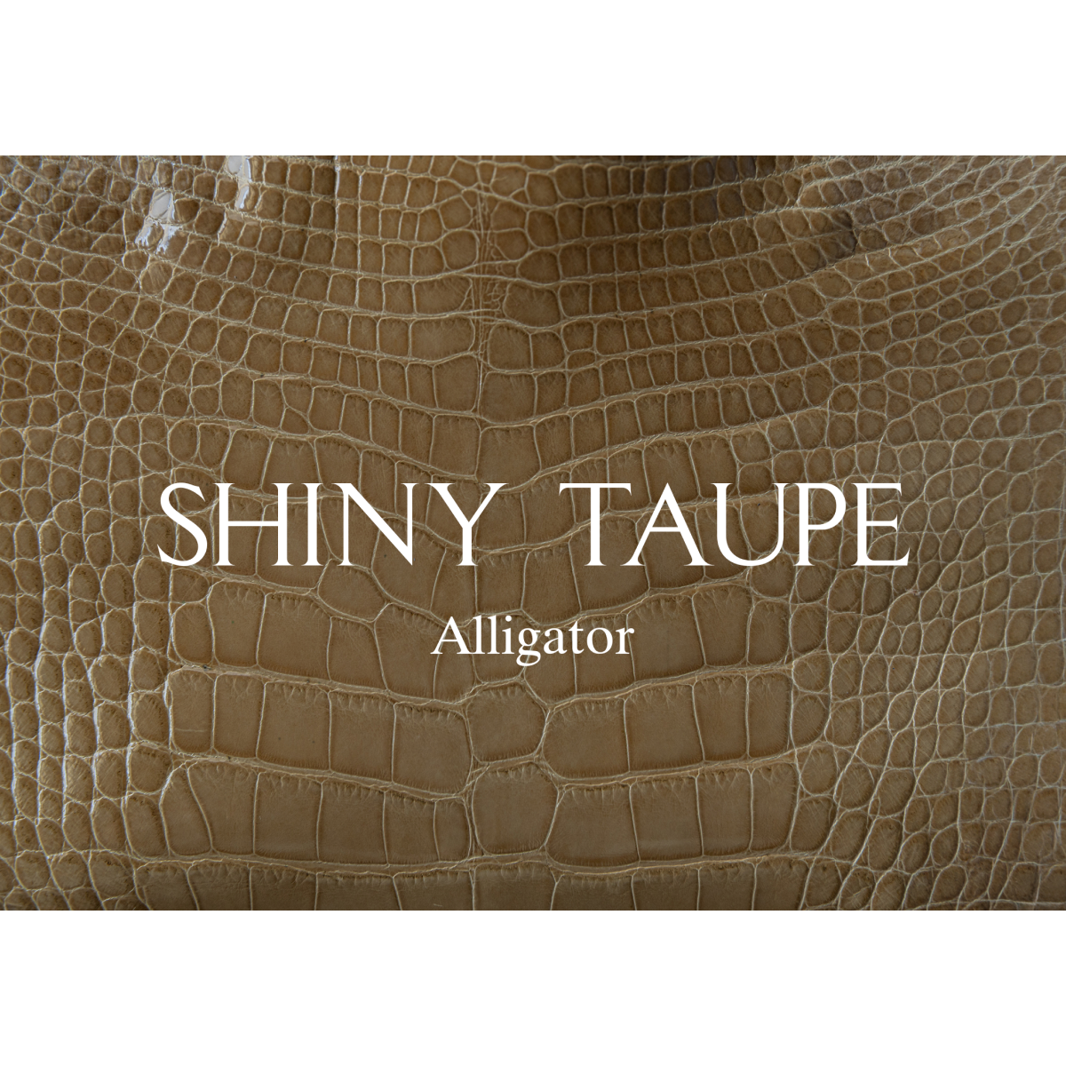 Single Watch Trunk