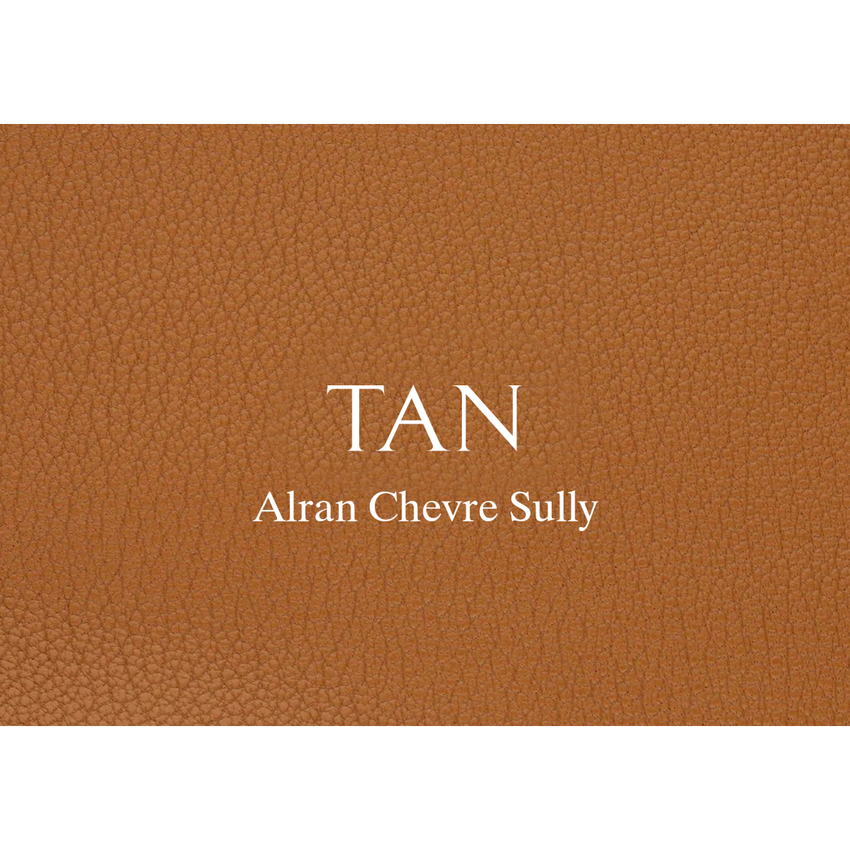 Single Watch Trunk