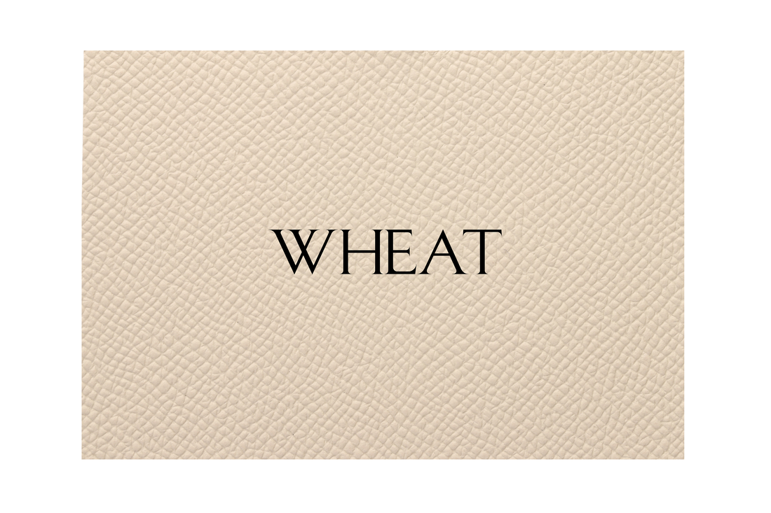 Lexus Card Key Sleeve