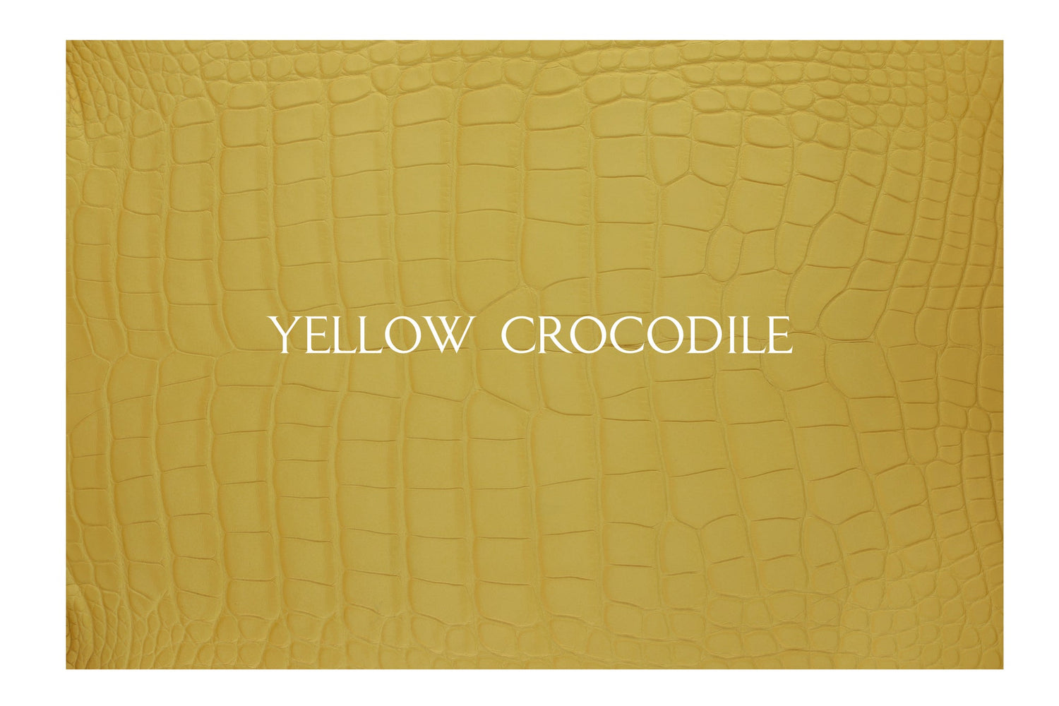 Bespoke Modern Bifold Wallet