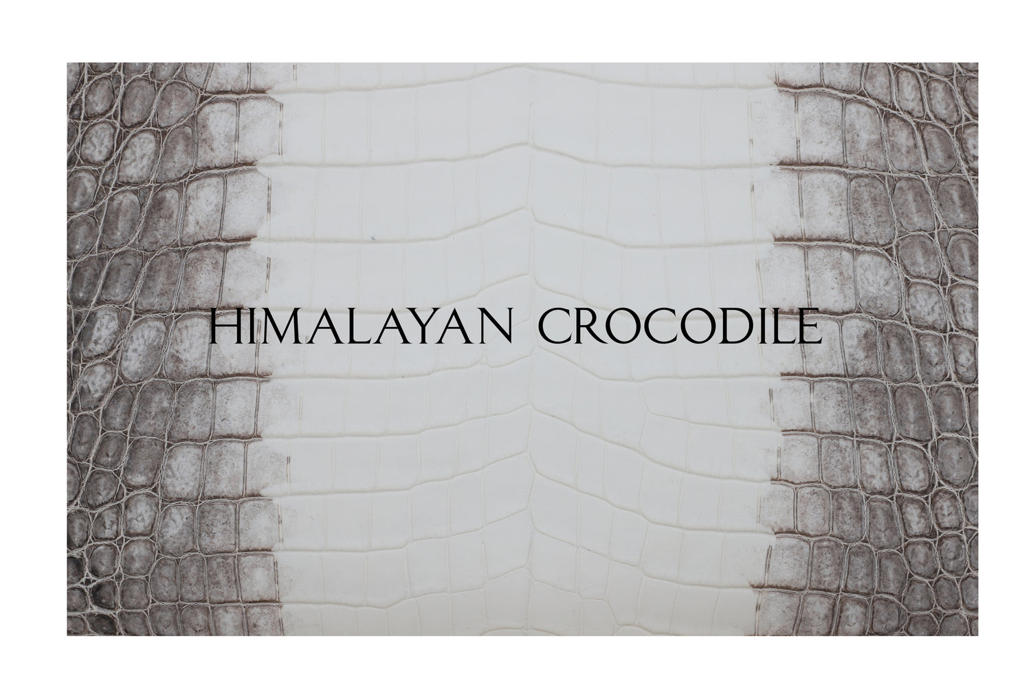 New Nissan Key Sleeve - 3 Buttons