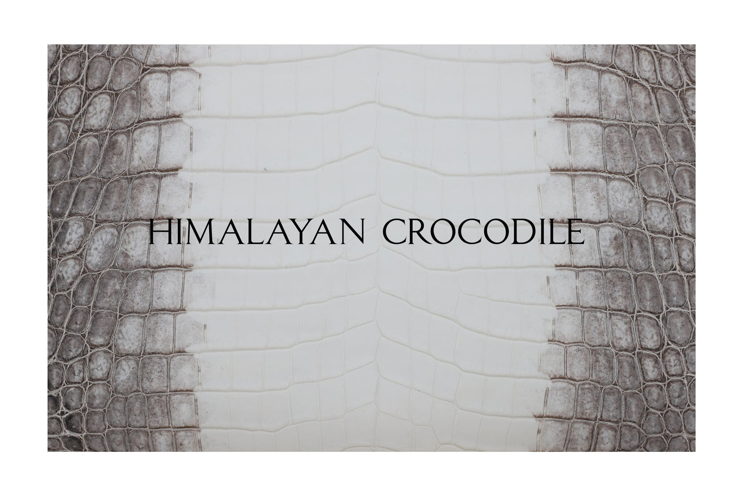 Genesis Key Sleeve - 6 Buttons