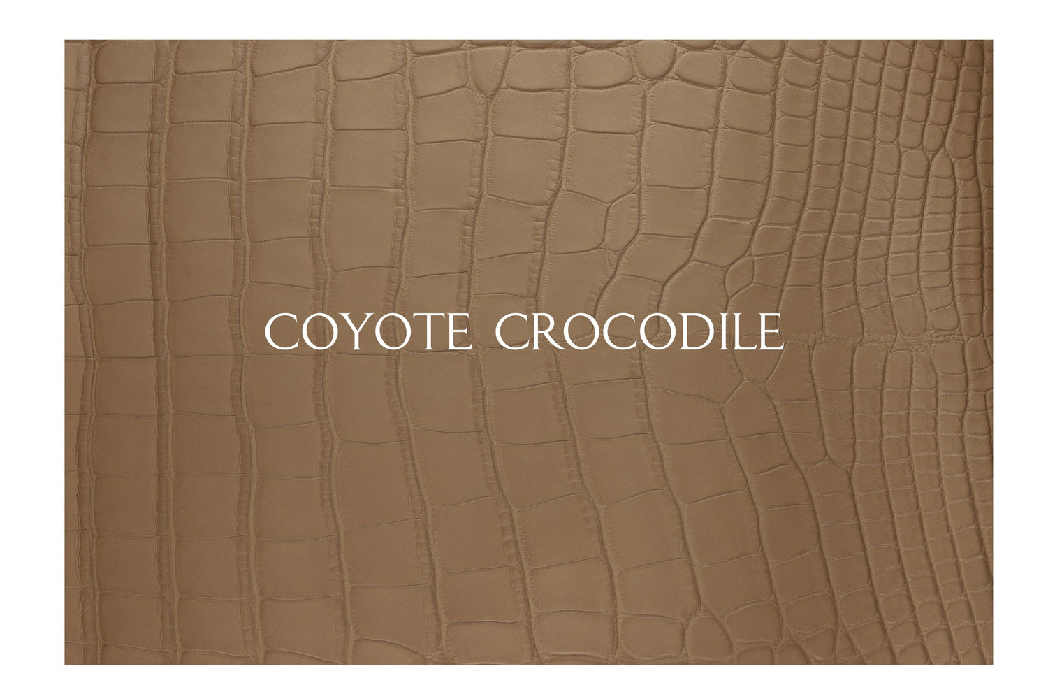 BMW Display Key Sleeve