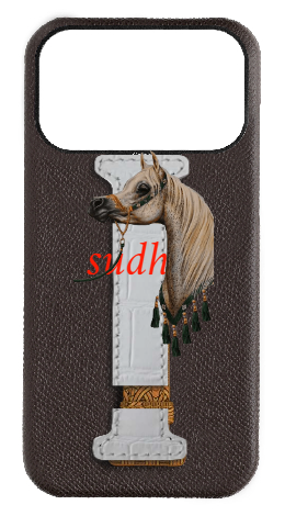 Customized Brown Monogram Middle Strap Case