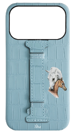 Customized Matte Light Blue Embossed Crocodile Case