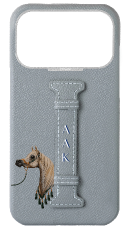 Customized Light Blue Grey Epsom Middle Strap Case