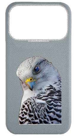 Customized Light Blue Grey Strapless Epsom Case