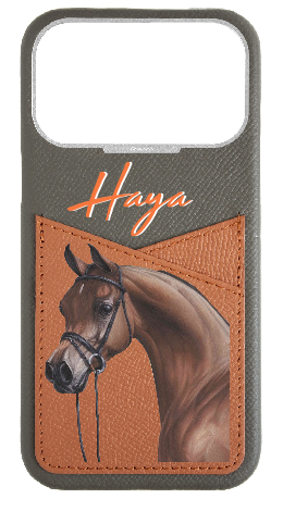 Customized Dark Taupe / Tan Limited Edition Pocket Case