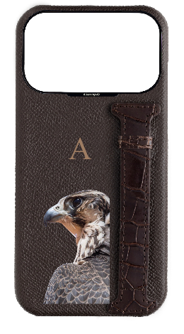 Customized Brown Exotic Crocodile Side Strap Case
