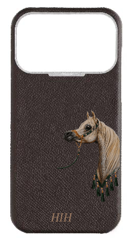 Customized Brown Strapless Epsom Case