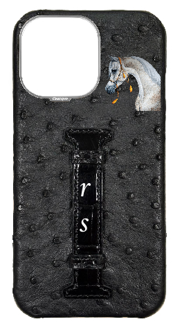 Customized Black Exotic Ostrich &amp; Crocodile Middle Strap Case