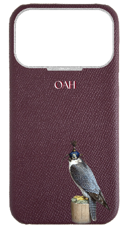 Customized Maroon Strapless Epsom Case