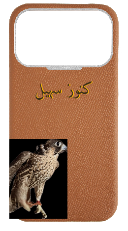 Customized Tan Strapless Epsom Case