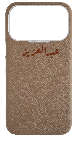 Customized Taupe Strapless Epsom Case