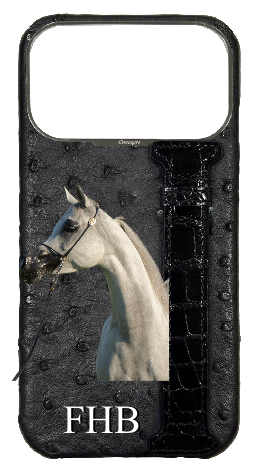 Customized Black Exotic Ostrich &amp; Crocodile Side Strap Case