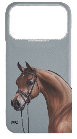 Customized Light Blue Grey Strapless Epsom Case