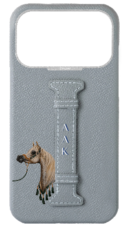Customized Light Blue Grey Epsom Middle Strap Case