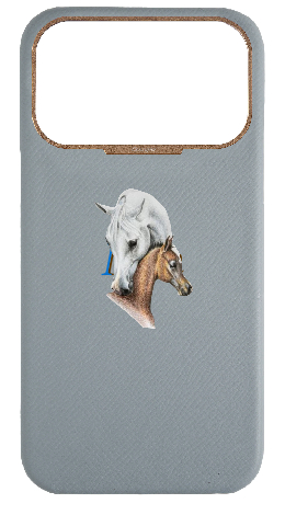 Customized Light Blue Grey Strapless Epsom Case