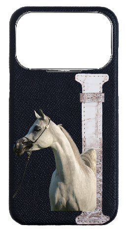 Customized Black Himalayan Exotic Crocodile Side Strap Case