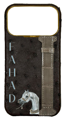 Customized Brown Exotic Ostrich &amp; Crocodile Side Strap Case