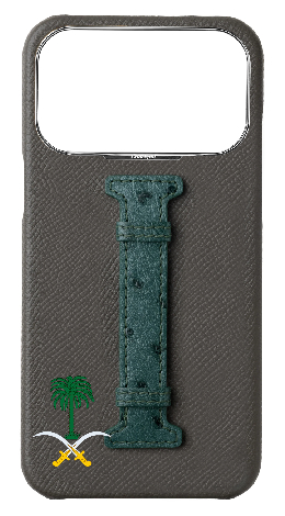 Customized Grey / Green Exotic Ostrich Middle Strap Case