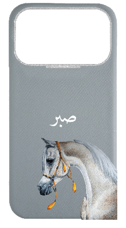 Customized Light Blue Grey Strapless Epsom Case