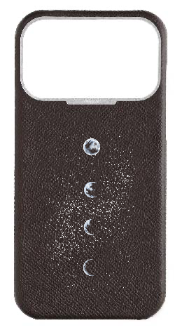 Customized Brown Strapless Epsom Case