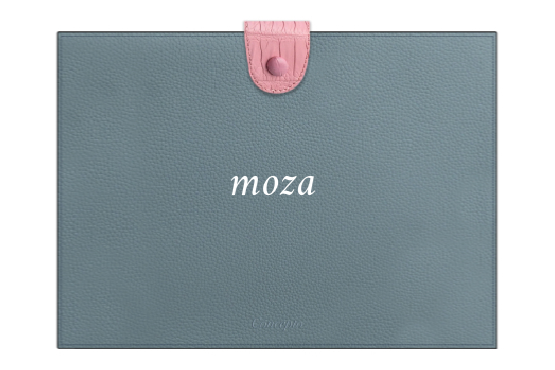Customized Sky Blue / Pink Folder