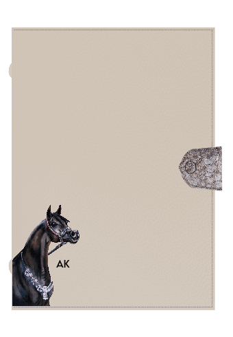 Customized Himalayan Notebook