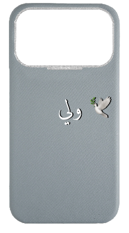 Customized Light Blue Grey Strapless Epsom Case