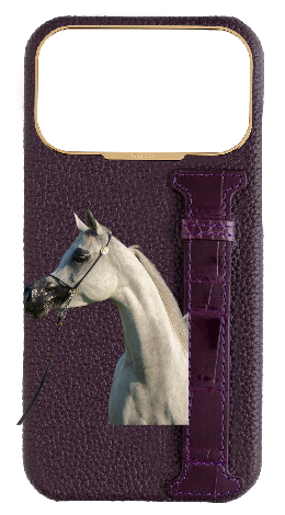 Customized Deep Purple Exotic Crocodile Side Strap Case