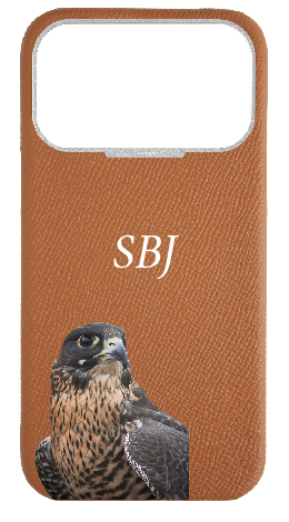 Customized Tan Strapless Epsom Case