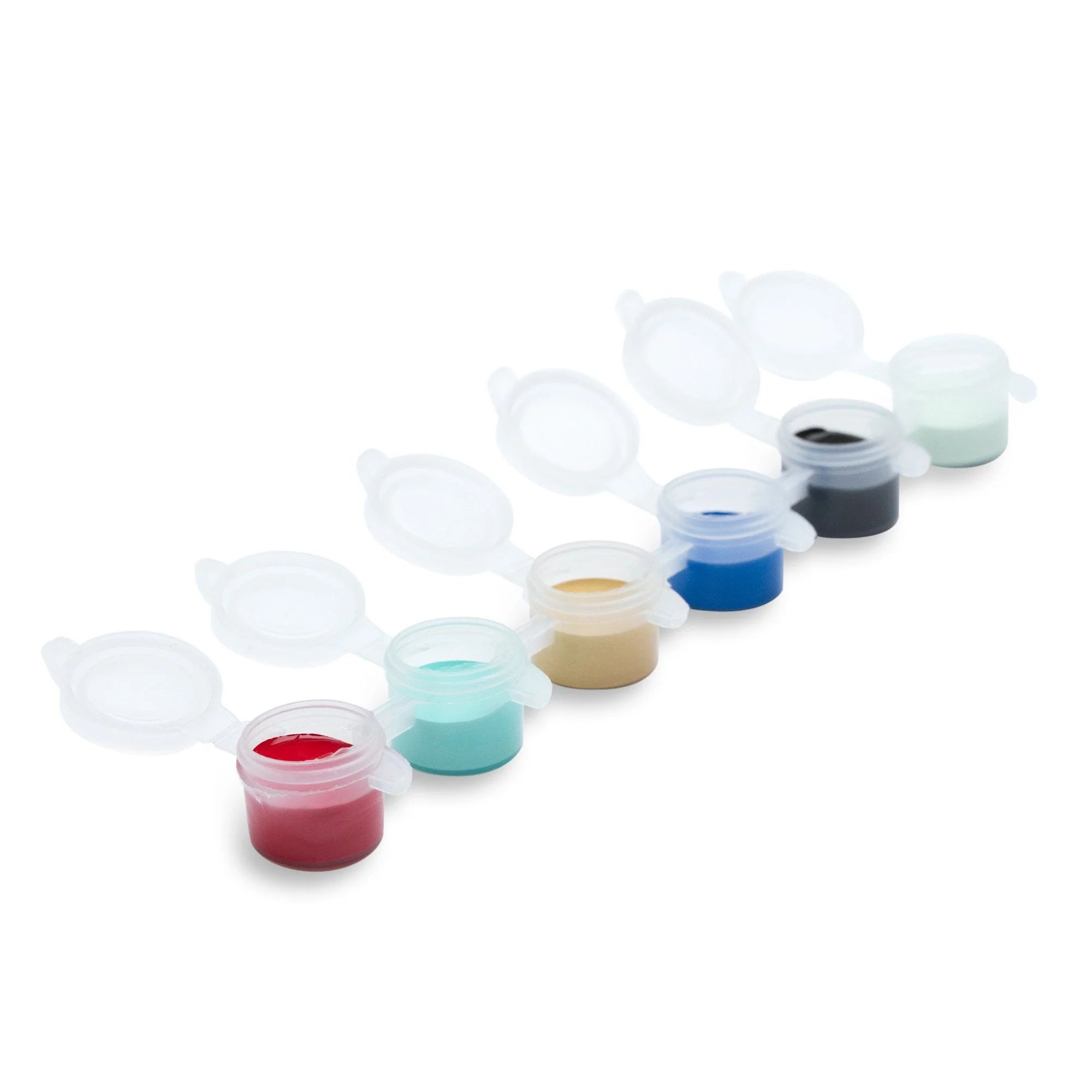 Empty Paint Containers - 6x 1/6th oz.